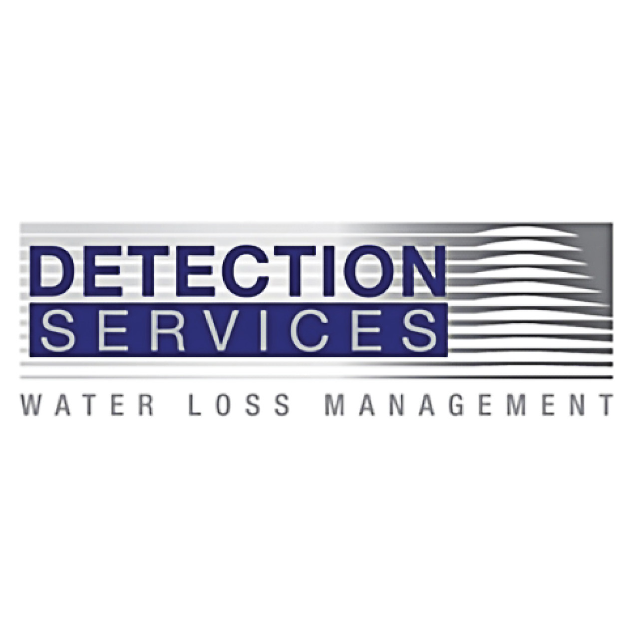 Detection Services